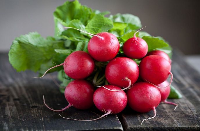 how-to-increase-breast-size-eat-radish