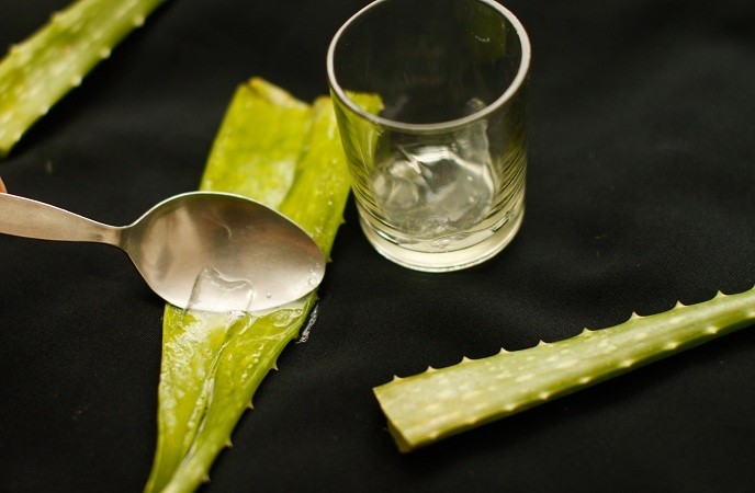 home-remedies-for-itchy-skin-aloe-vera