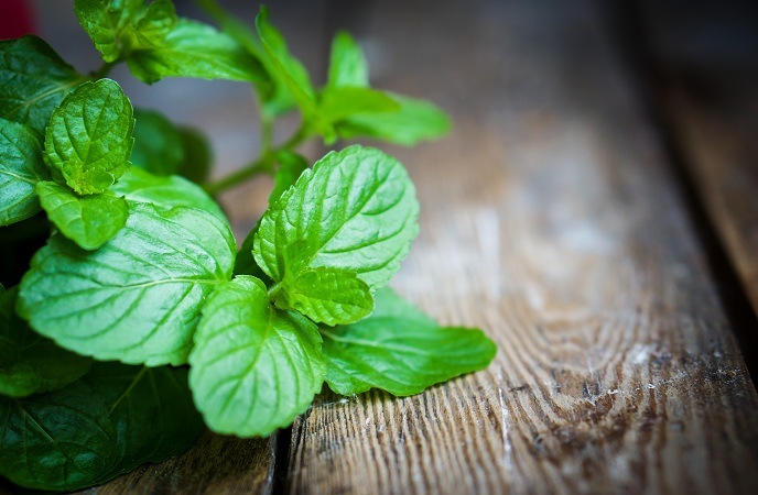 Another Natural Remedy: Peppermint