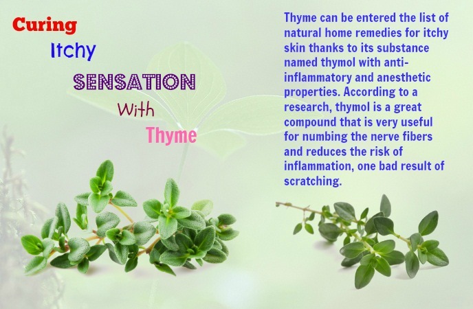 home-remedies-for-itchy-skin-curing-itchy-sensation-with-thyme