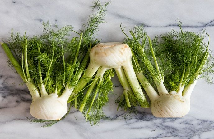 Fennel