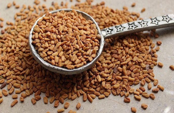 Fenugreek Seeds