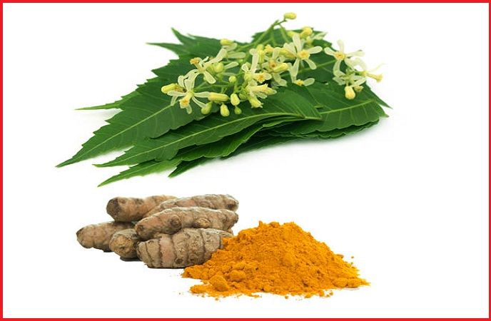 Neem And Turmeric