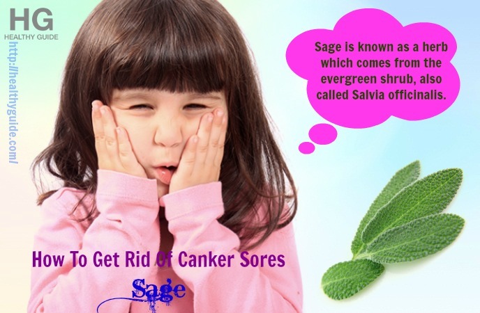 24 Tips How To Get Rid Of Canker Sores Inside The Mouth Fast And Naturally