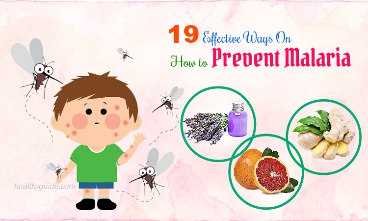 19 Tips How to Prevent Malaria in Children & Adults Fast & Naturally