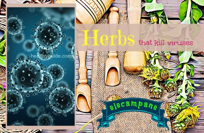 herbs that kill viruses