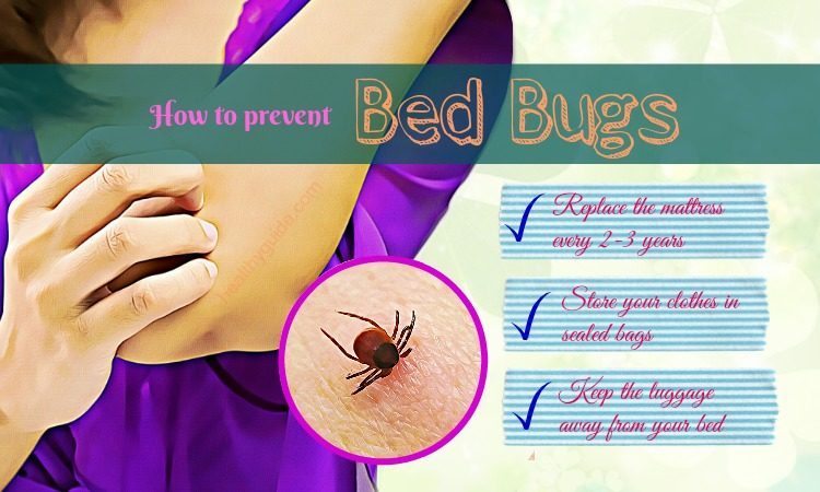 preventing bed bugs from getting into mattress
