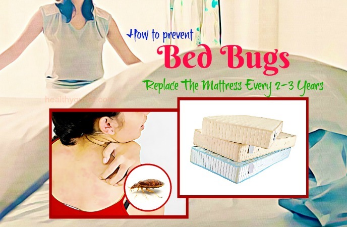 how to prevent bed bugs