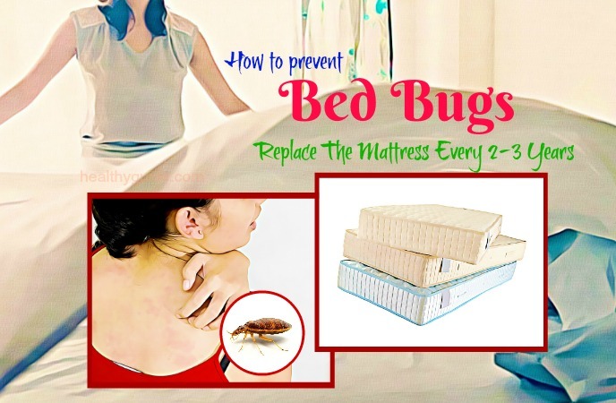 prevent bed bugs mattress