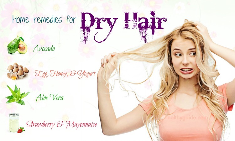 Top 24 Simple Home Remedies for Dry Hair Naturally to Try