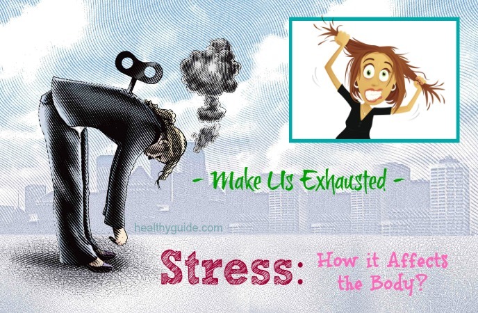 stress how it affects the body