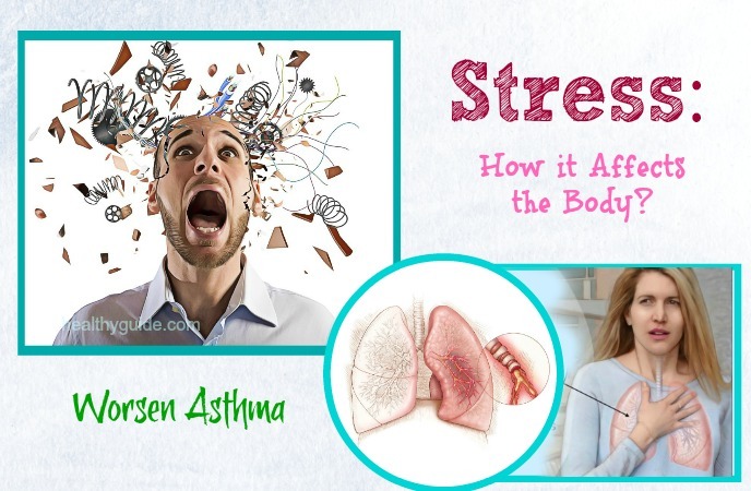 stress how it affects the body