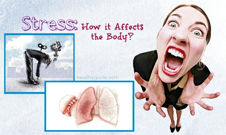 20 Facts – How Stress Affects the Body and Health