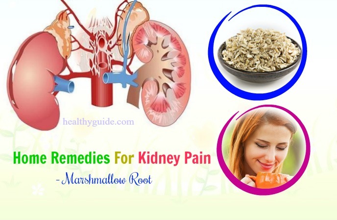 home remedies for kidney pain 