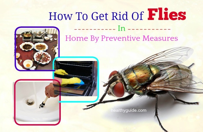 how to get rid of flies