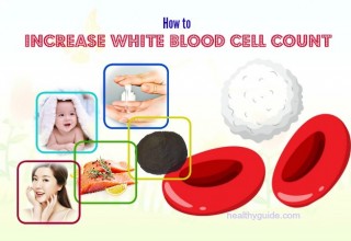 20 Tips How to Increase White Blood Cell Count in Babies & Adults Quickly