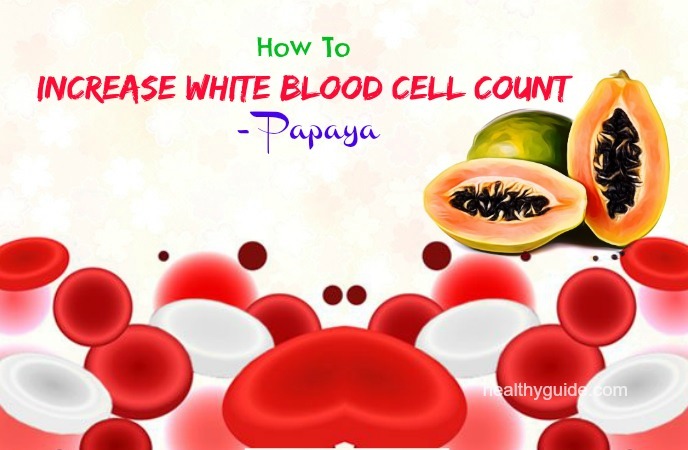 how to increase white blood cell count
