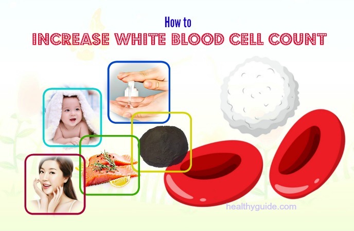 20 Tips How to Increase White Blood Cell Count in Babies & Adults Quickly