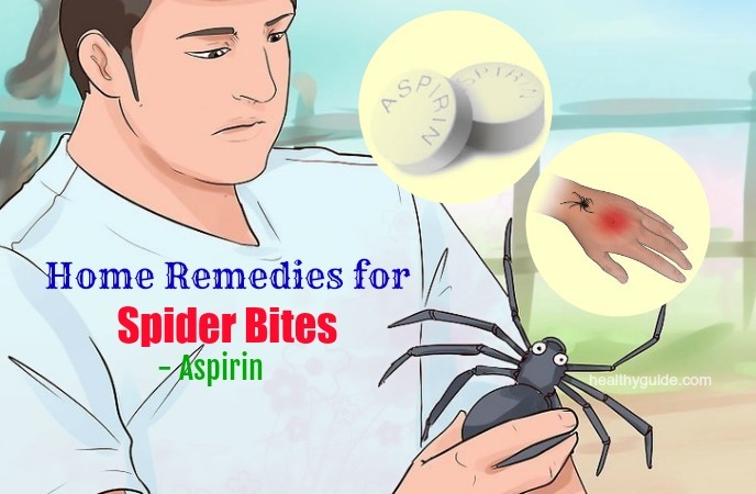 home remedies for spider bites 