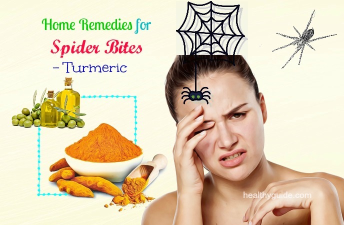 home remedies for spider bites 