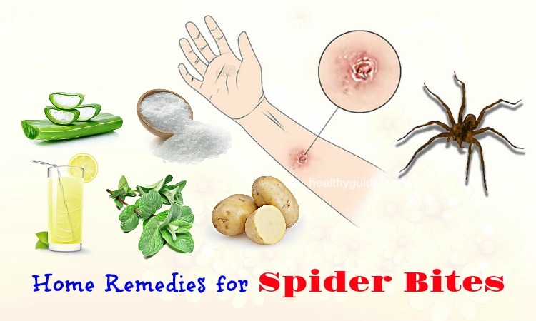 13 Natural Home Remedies for Spider Bites on Arms, Legs, Ankle, & Eyelid