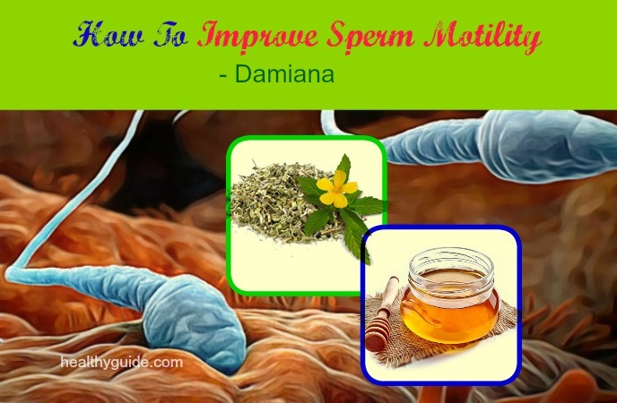 how to improve sperm motility