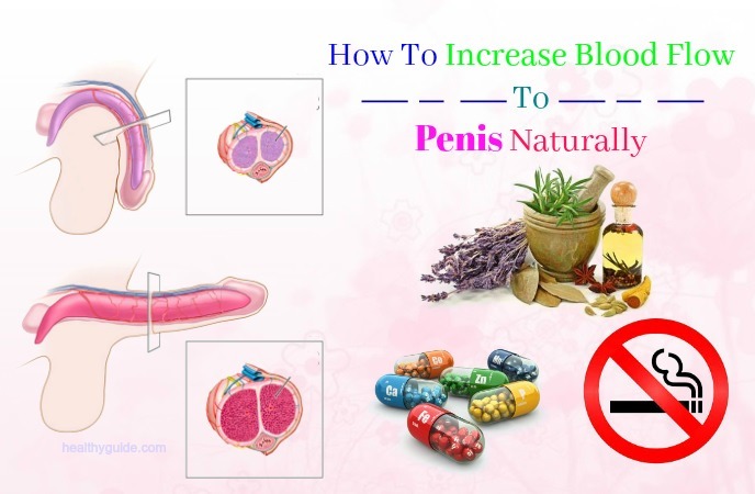 how to increase blood flow to penis