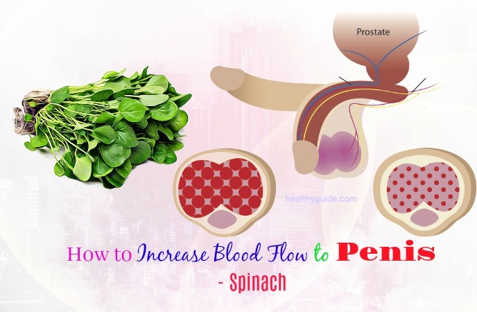 how to increase blood flow to penis 