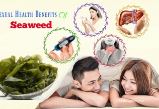 Top 15 Sexual Health Benefits Of Seaweed That You Should Know